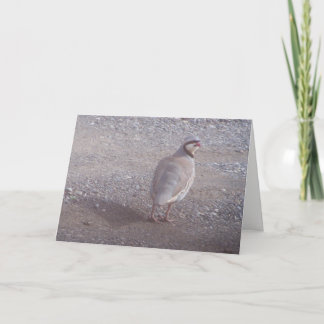 De Kerstkaart van Chukar Feestdagen Kaart