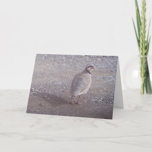 De Kerstkaart van Chukar Feestdagen Kaart (Voorkant)