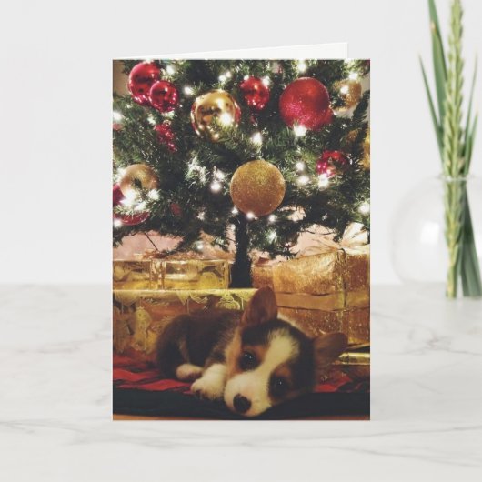 De Kerstkaart van Corgi Feestdagen Kaart (Voorkant)
