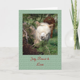 De Kerstkaart van de alpaca Feestdagen Kaart