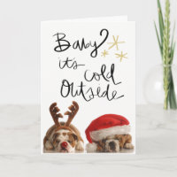 De Kerstkaart van de buldog