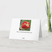 De Kerstkaart van de cactus door Debra Lee Baldwin Feestdagen Kaart (Achterkant)