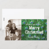 De Kerstkaart van de Foto van de Veer van de pauw (Voorkant / Achterkant)