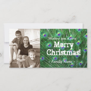 De Kerstkaart van de Foto van de Veer van de pauw