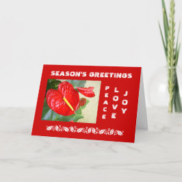 De Kerstkaart van de Groeten van het seizoen Feestdagen Kaart