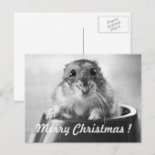 De Kerstkaart van de hamster Feestdagenkaart (Voorkant / Achterkant)