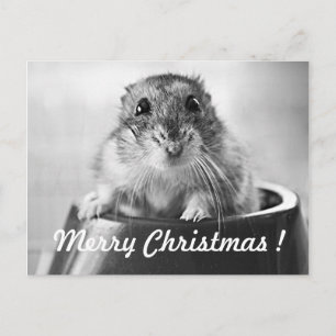 De Kerstkaart van de hamster Feestdagenkaart