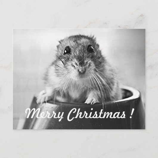 De Kerstkaart van de hamster Feestdagenkaart (Voorkant)