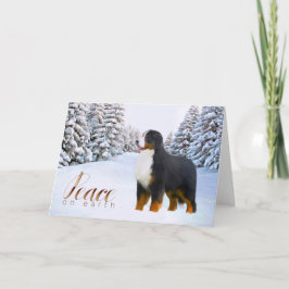 De Kerstkaart van de Hond van de Berg van Bernese Feestdagen Kaart