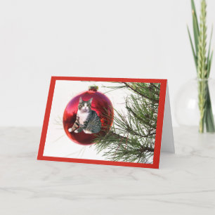 De Kerstkaart van de kat Feestdagen Kaart