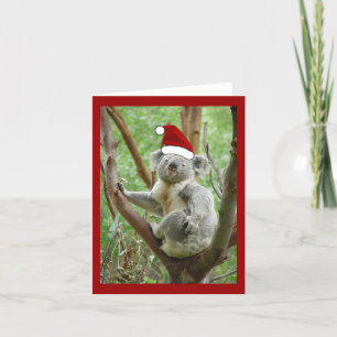 De Kerstkaart van de Kerstman van de koala Feestdagen Kaart