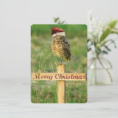 De Kerstkaart van de Kerstman van de Uil van (Staand voorkant)