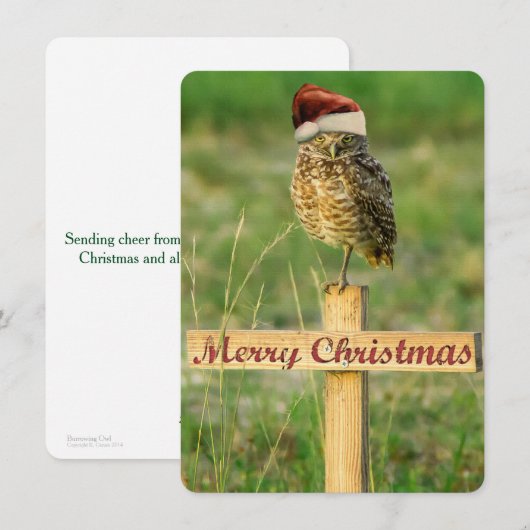 De Kerstkaart van de Kerstman van de Uil van (Voorkant / Achterkant)