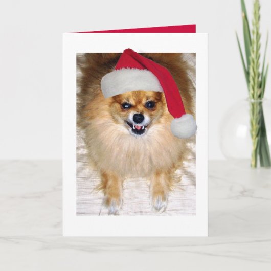 De Kerstkaart van de Kerstman van Pomeranian Feestdagen Kaart (Voorkant)