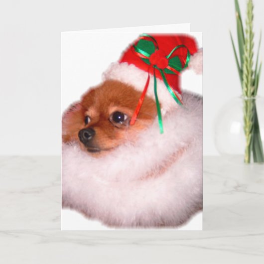 De Kerstkaart van de Kerstman van Pomeranian Feestdagen Kaart (Voorkant)