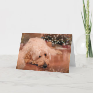 De Kerstkaart van de krabbel Feestdagen Kaart