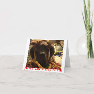 De Kerstkaart van de mastiff Feestdagen Kaart