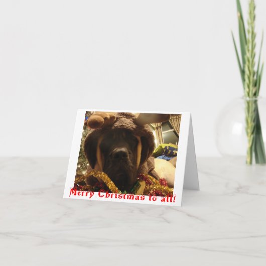 De Kerstkaart van de mastiff Feestdagen Kaart (Voorkant)