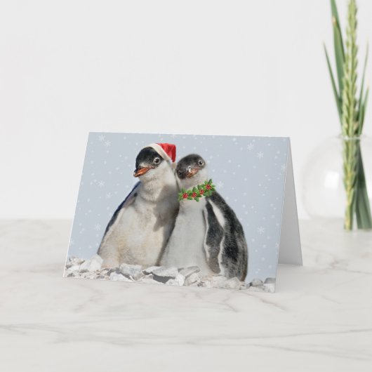 De Kerstkaart van de Pinguïnen van de partij Feestdagen Kaart (Voorkant)
