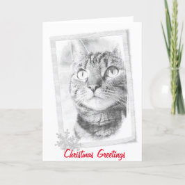 De Kerstkaart van de Schets van de Kat van de Feestdagen Kaart