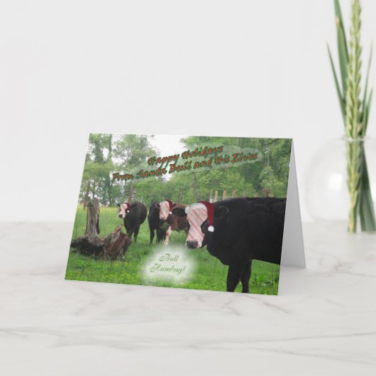 De Kerstkaart van de Stier van de kerstman Feestdagen Kaart (Voorkant)
