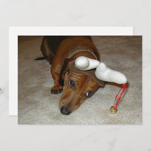 De Kerstkaart van de tekkel - Aarzelend Rendier (Voorkant / Achterkant)