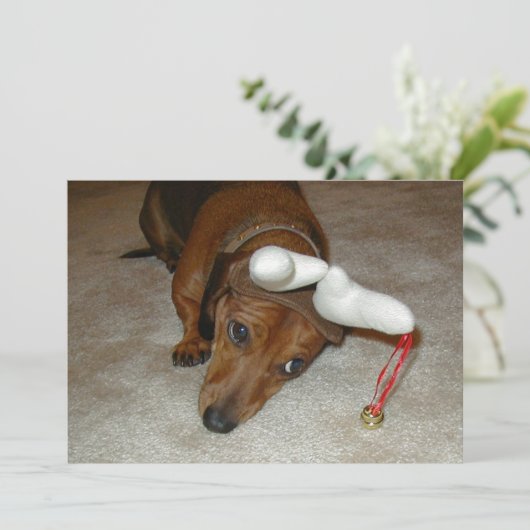 De Kerstkaart van de tekkel - Aarzelend Rendier (Staand voorkant)