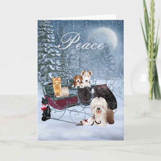 De Kerstkaart van de winter met Honden, Katten, Feestdagen Kaart (Voorkant)