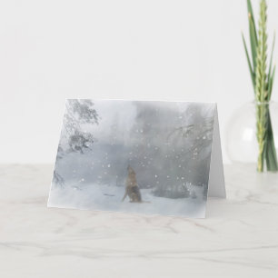 De Kerstkaart van de wolf prettige feestdagen Kaart