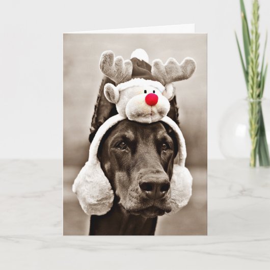 De Kerstkaart van Doberman Feestdagen Kaart (Voorkant)