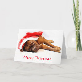 De Kerstkaart van Dogue DE Bordeaux Feestdagen Kaart