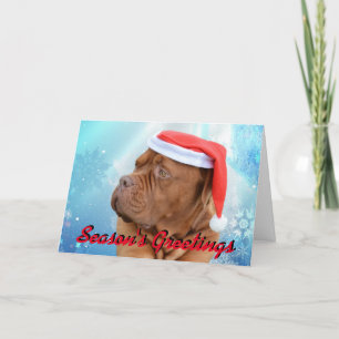 De Kerstkaart van Dogue DE Bordeaux Feestdagen Kaart