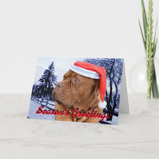De Kerstkaart van Dogue DE Bordeaux Feestdagen Kaart (Voorkant)