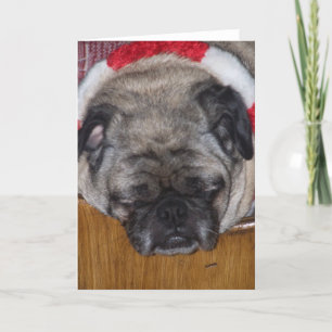 De Kerstkaart van een Pug Hond Feestdagen Kaart