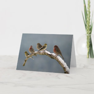 De Kerstkaart van Finches Feestdagen Kaart