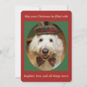 De Kerstkaart van Goldendoodle (Voorkant)