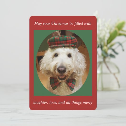 De Kerstkaart van Goldendoodle (Staand voorkant)
