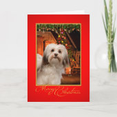 De Kerstkaart van Havanese Feestdagen Kaart (Voorkant)