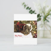 De Kerstkaart van het huisdier Feestdagenkaart (Staand voorkant)