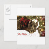 De Kerstkaart van het huisdier Feestdagenkaart (Voorkant / Achterkant)