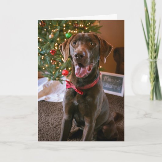 De Kerstkaart van het Laboratorium van de Feestdagen Kaart (Voorkant)