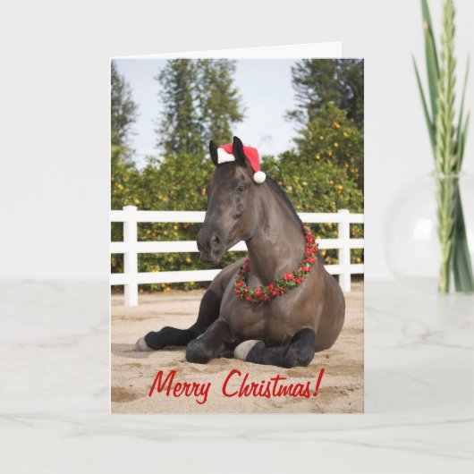 De Kerstkaart van het paard Feestdagen Kaart (Voorkant)