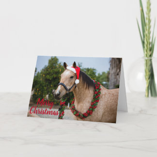 De Kerstkaart van het paard Feestdagen Kaart