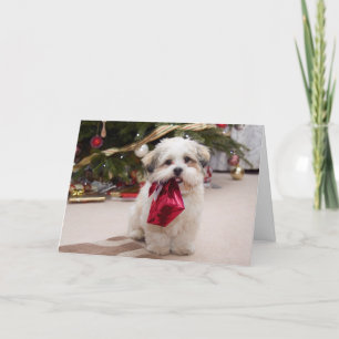 De Kerstkaart van het puppy Feestdagen Kaart