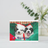De Kerstkaart van het "puppy" (shih-tzu) Feestdagenkaart (Staand voorkant)