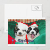 De Kerstkaart van het "puppy" (shih-tzu) Feestdagenkaart (Voorkant / Achterkant)