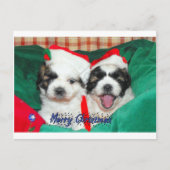 De Kerstkaart van het "puppy" (shih-tzu) Feestdagenkaart (Voorkant)
