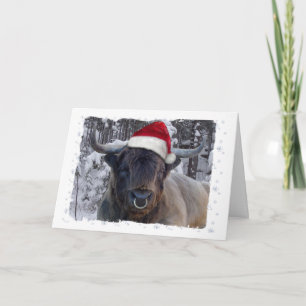 De Kerstkaart van het Vee van het hoogland Feestdagen Kaart