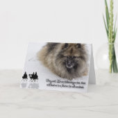 De Kerstkaart van Keeshond "Drie Wijzen " Feestdagen Kaart (Voorkant)