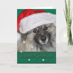 De Kerstkaart van Keeshond Feestdagen Kaart
